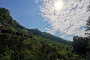 山