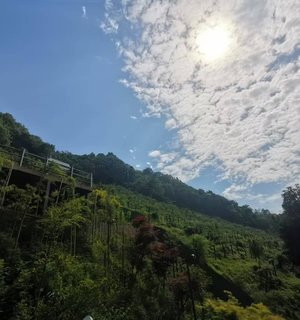 山